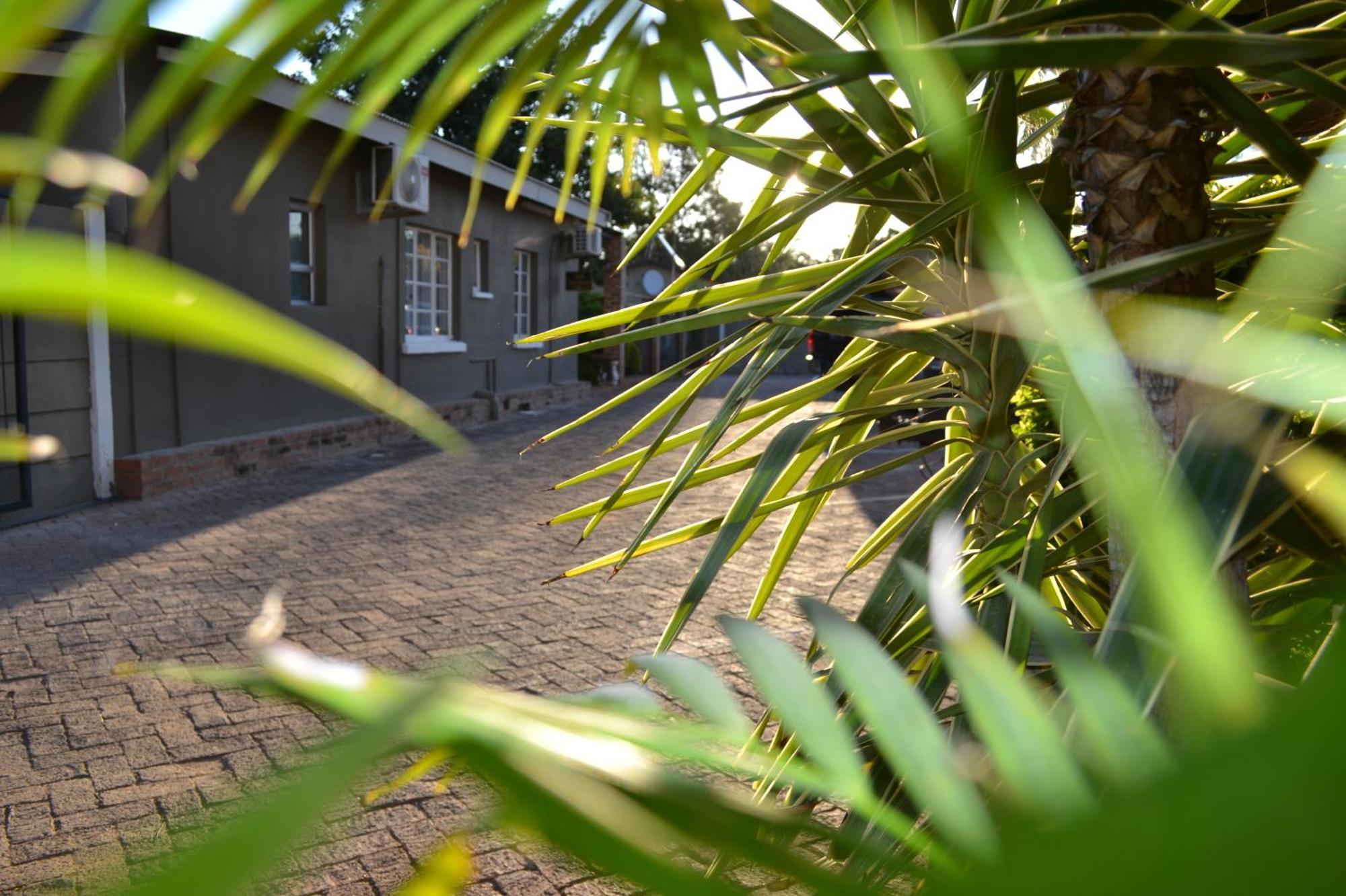 Travel North Guesthouse Tsumeb Buitenkant foto